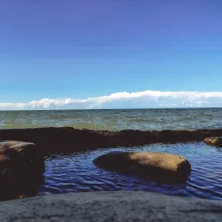 Webster Park - Webster