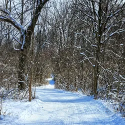 Webster Park - Webster