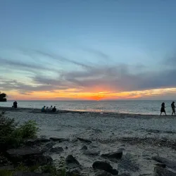 Webster Park - Webster