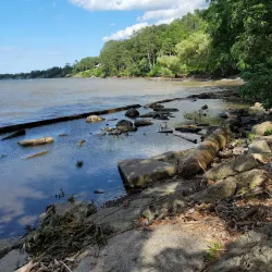 Webster Park - Webster