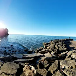 Webster Park - Webster