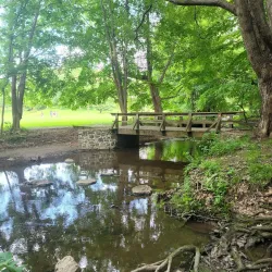 Webster Park - Webster