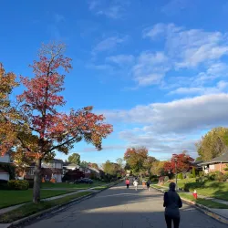 Clinton G. Martin Park - Westbury