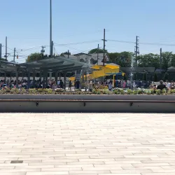 Clinton G. Martin Park - Westbury