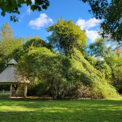 Tanglewood Preserve - Westbury