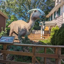 Tanglewood Preserve - Westbury