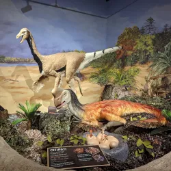 Tanglewood Preserve - Westbury