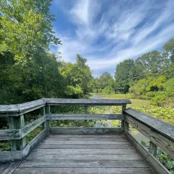 Tanglewood Preserve - Westbury
