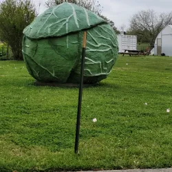 Westbury Community Garden - Westbury
