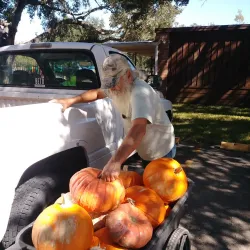 Westbury Community Garden - Westbury