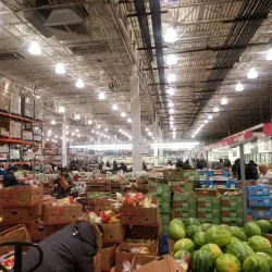 Westbury Plaza - Westbury