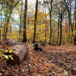 Saxon Woods Park - White Plains