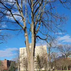 Turnure Park - White Plains