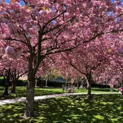 Turnure Park - White Plains