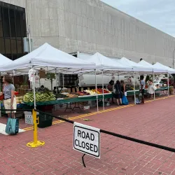 White Plains Farmers Market - White Plains