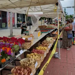 White Plains Farmers Market - White Plains