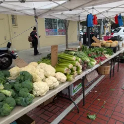White Plains Farmers Market - White Plains