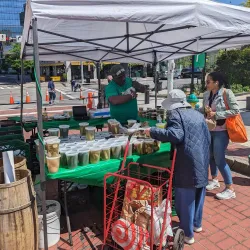 White Plains Farmers Market - White Plains