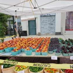 White Plains Farmers Market - White Plains