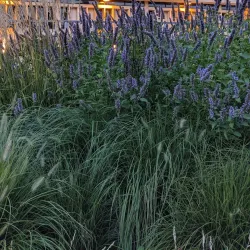 White Plains Public Library - White Plains