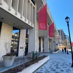White Plains Public Library - White Plains