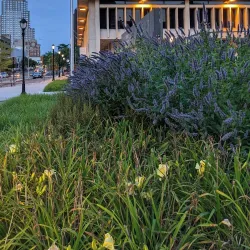 White Plains Public Library - White Plains