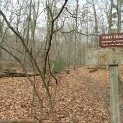 Anthony Wayne Recreation Area - Woodbury