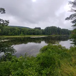 Seven Lakes Drive - Woodbury