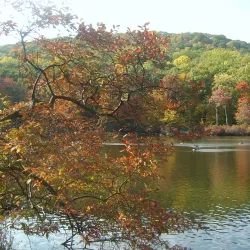 Seven Lakes Drive - Woodbury