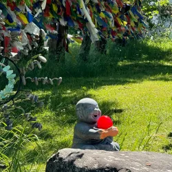 Karma Triyana Dharmachakra - Woodstock