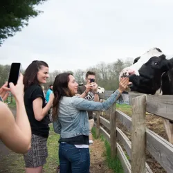 Woodstock Farm Sanctuary - Woodstock