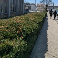 Grinton I. Will Library - Yonkers