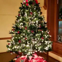 Philipse Manor Hall State Historic Site - Yonkers