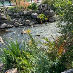 Van der Donck Park - Yonkers