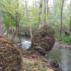 Albemarle City Park - Albemarle