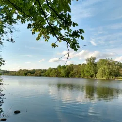 Albemarle City Park - Albemarle