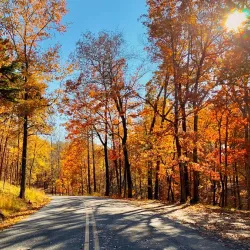 Morrow Mountain State Park - Albemarle