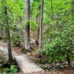 Morrow Mountain State Park - Albemarle