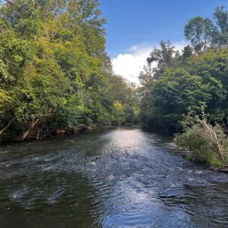 Uwharrie National Forest - Albemarle