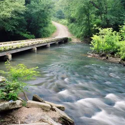 Uwharrie National Forest - Albemarle