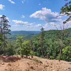 Uwharrie National Forest - Albemarle