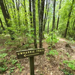 Uwharrie National Forest - Albemarle