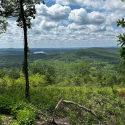 Uwharrie National Forest - Albemarle