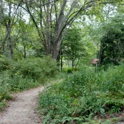 Asheville Botanical Gardens - Asheville