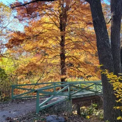 Asheville Botanical Gardens - Asheville