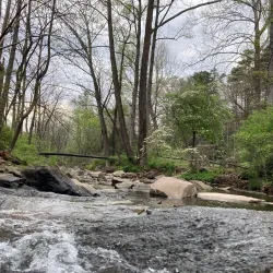 Asheville Botanical Gardens - Asheville