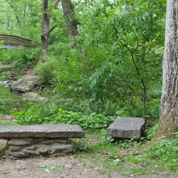 Asheville Botanical Gardens - Asheville