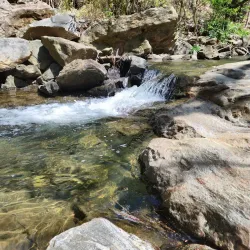 Asheville Botanical Gardens - Asheville