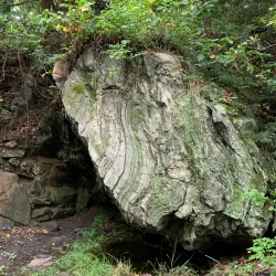 Asheville Botanical Gardens - Asheville