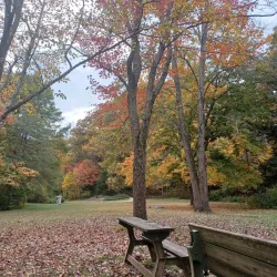 Asheville Botanical Gardens - Asheville